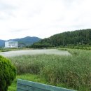 고암체육공원 Daum카페