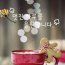 부치고띠고그리고