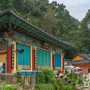 충주 중앙탑면 장천1길 충북 티스토리