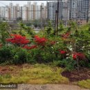 은한농장 이미지