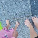 선천들공원 이미지