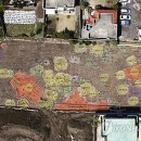 사적인 제주 이미지