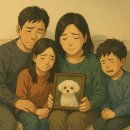 아름다운 동물병원 | [김해 강아지 장례] 마지막 소풍의 동반자, '별이되다' 반려동물 장례식장 이용 후기 및 정보