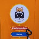 돈워리독 | 실내, 야외 둘 다 있는 구리 애견카페 돈워리독 주말 방문 후기