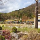 원천새싹길 이미지