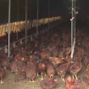 함열 농장 이미지