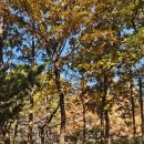 부평구청역(인천1호선) | 부평구청역 무강옥칼국수 수육과 잘 어울리는 바지락 칼국수