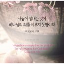 성내 이미지