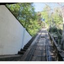 시우로2 이미지