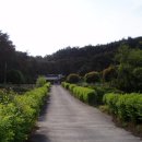 유동리 오층석탑 이미지