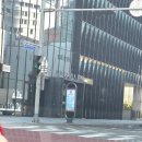 다음스테이 | 부산 신라스테이 해운대 프리미어 디럭스 오션뷰 숙박 후기