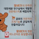 달배기꽈배기 이미지