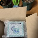 미뇽스토어 | 포켓몬센터 머그컵 구불구불 포켓몬 친구들 | 미뇽 머그컵 후기