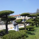 만덕초등학교 이미지