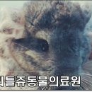 리틀쥬동물의료원 이미지