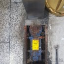 코아 플로어 이미지