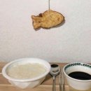 진남의원(신동아파밀리에 후문) | 여수 여천 붕어빵 위치 공유
