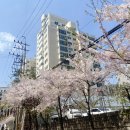 사색 와인바/반포한강공원 무지개분수/신세계백화점강남점 우이락/옛날호떡/추박사자취생김밥 전복장김밥)