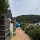 [제주] 아이와 갈만한 숙소, 애월 흰수염고래리조트: 스탠다드 더블 후기