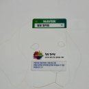 오일파스텔 드로잉 이미지