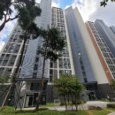 이마트24 내리점 이미지