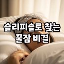 솔솔가 | 슬리피솔 후기 보고 선택한 슬리피솔플러스 사용법과 가격 팁