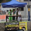 도계읍사무소 Daum카페