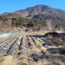 귀래면 행정복지센터 이미지