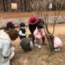 금란어린이집 이미지