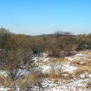 황구지길 이미지