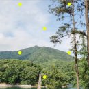 파주 여행지 갈만한곳 | 마장호수 출렁다리 전망대카페 | 경기도 가볼만한곳