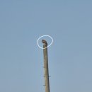 덕목2리마을회관 이미지