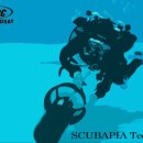 스킨스쿠버, 스킨다이빙(화) 이미지