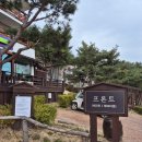 CU충주마루점 | 제천es리조트 아기랑 부모님 가족여행 충주 제천여행 동물 리조트