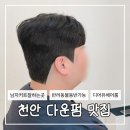 디어유 | 천안다운펌 유목민 정착한 디어유헤어룸 남자커트후기