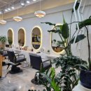 닛시헤어 이미지