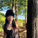 태연세공