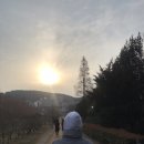 요가로운 - 구리시 건원대로34번길 19 | 요가로운