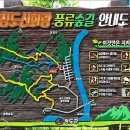 신화랑풍류숲길 이미지