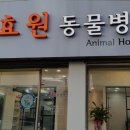효원동물병원 네이버블로그