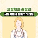 서울특별시 송파구 거여동 교정치과 총정리