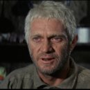 나비,날아오르다 이미지