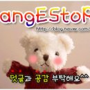 에이치오(H.O) 이미지