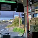 코코코게스트하우스 | 제주도 동쪽 여성 전용 숙소 코코코 게스트하우스 방문후기