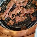 새 조형물 및 분수 이미지