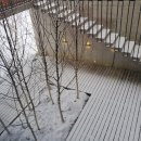 세교초등학교 이미지