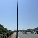 삼학도크루즈 | 목포 삼학도크루즈 후기 야경부터 불꽃놀이까지 팁