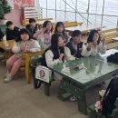 신흥초등학교/신흥유치원 | 『무무관화랑합기도』대전 동구 용운동 대동 신흥동 자양동 판암2동 2026.03.22 딸기체험&amp;잭슨나인스행사