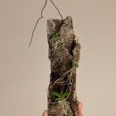 시냇물 농장 이미지