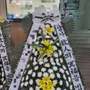 제이플라워 - 춘천시 우석로101번길 31 | 제이플라워